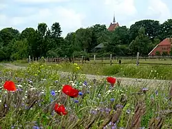 View on Anloo, seen from the zuides