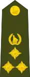 Brigadier (Zimbabwe National Army)[29]