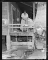 Mrs. Butler Phillips, wife of miner, dressing a chicken on back porch of her home, 1946
